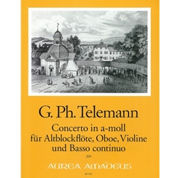 Telemann: Concerto in a minor